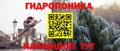 Альфа ПВП Пенза