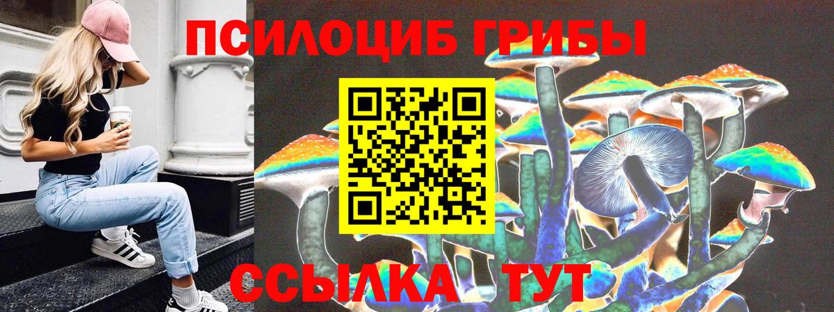 Ржев  Галлюциногенные грибы Psilocybine cubensis  Вход с VPN 